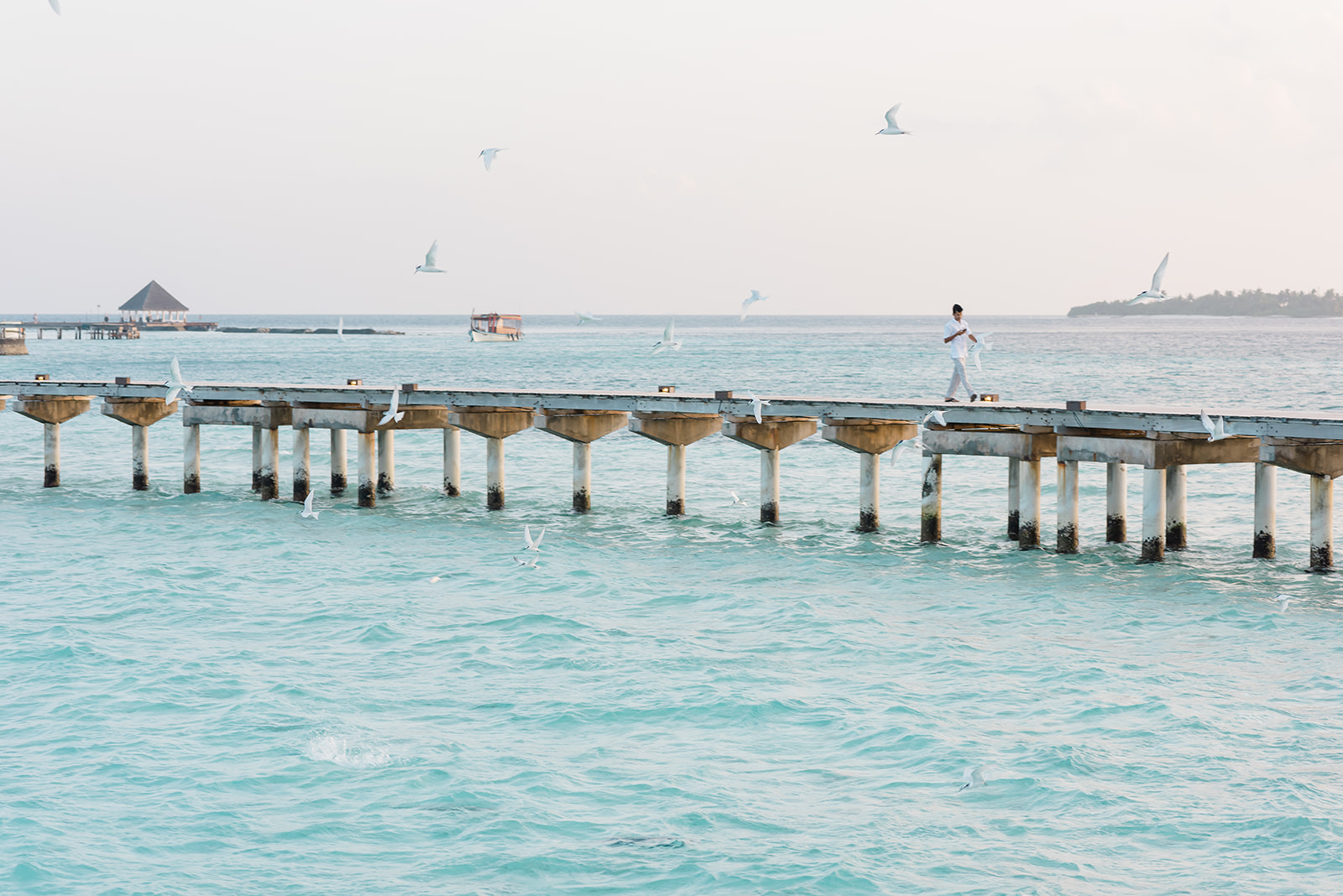 Coco Bodu Hithi Maldives elopement inspiration